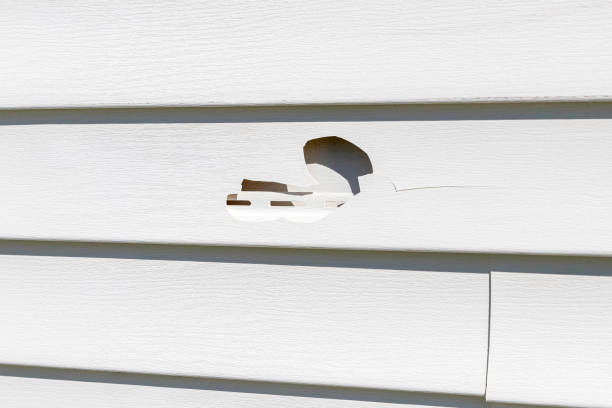 Best Same-Day Junk Removal Services  in Walnut, CA